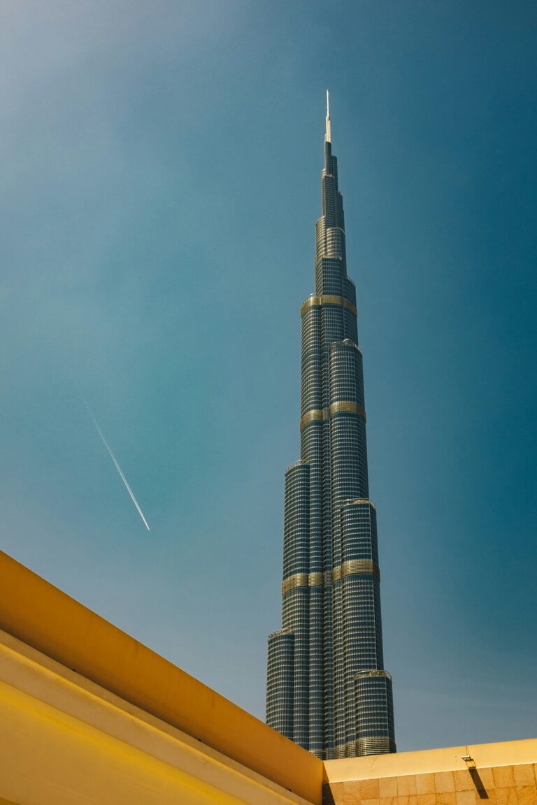 ashim-d-silva-rvyiu5qjI2E-unsplash