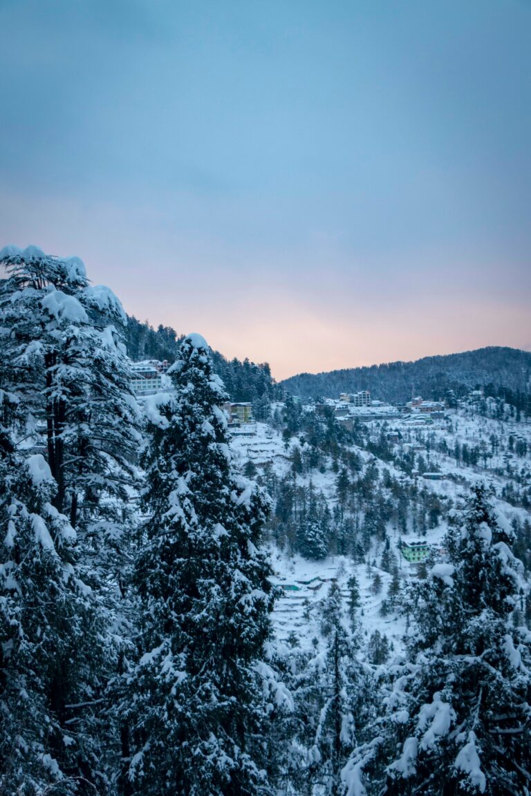 kanishka-jeewantha-d8s61vqhvuk-unsplash